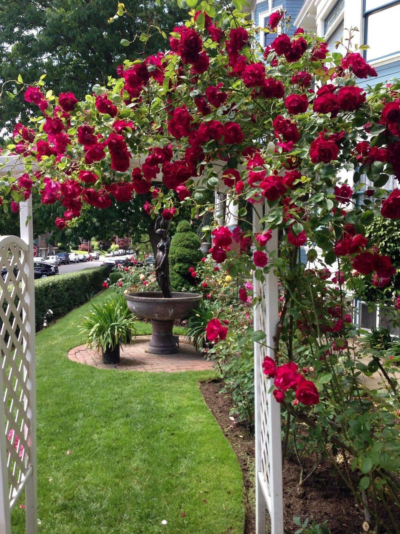 Lion And The Rose Victorian Guest House 波特蘭 外观 照片