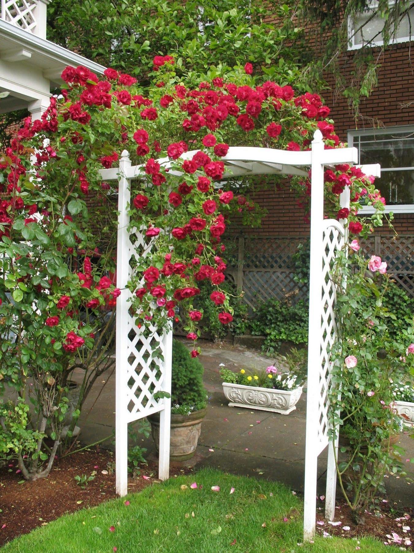 Lion And The Rose Victorian Guest House 波特蘭 外观 照片