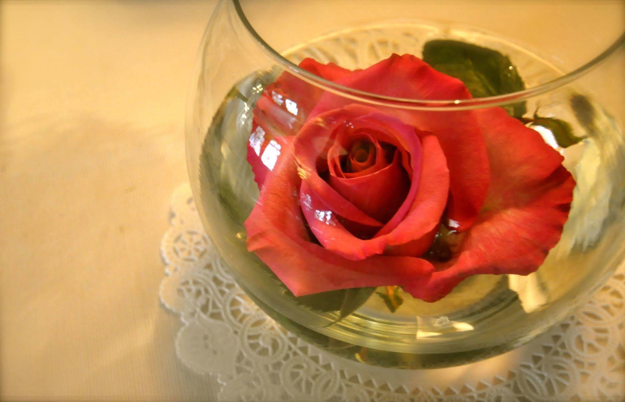 Lion And The Rose Victorian Guest House 波特蘭 外观 照片